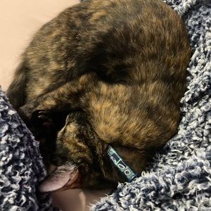 Meet your Posher, Catherine